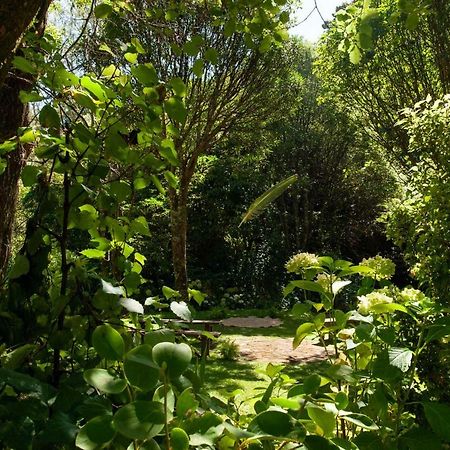 Bed and Breakfast Blythcliffe Akaroa Exterior foto